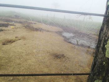 Close-up of spider web against sky