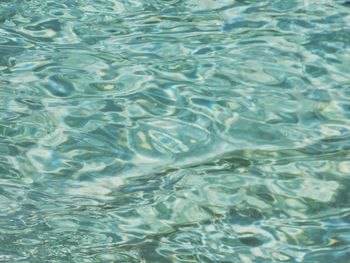 High angle view of swimming pool