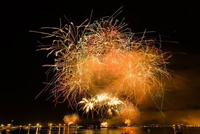 Fireworks exploding in night sky