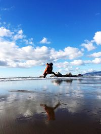 Full length of woman standing on beach