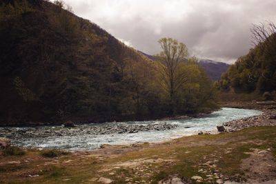 Scenic view of river amidst trees against sky