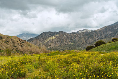 Scenic view of mountains against sky