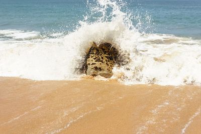 High angle view of waves on beach