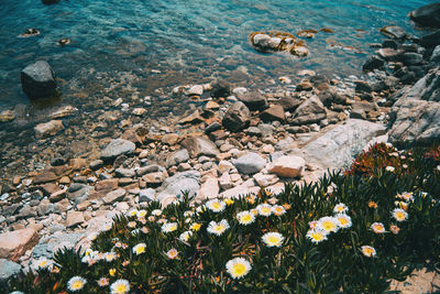High angle view of rocks by sea