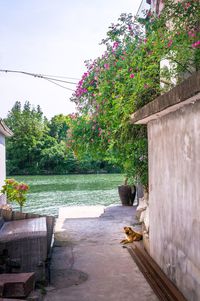 Scenic view of river by trees against sky