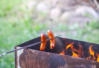 Close-up of crab on barbecue grill