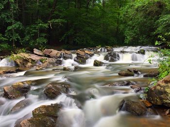 Stream flowing through rocks in forest