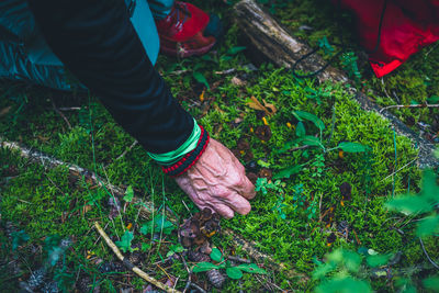 Low section of person wearing shoes on land