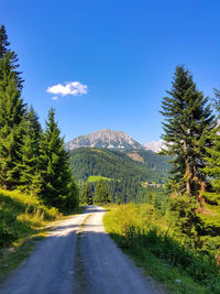 Road amidst trees in forest against clear blue sky