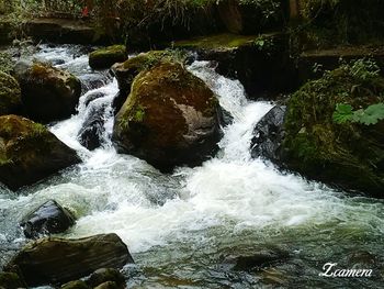 Scenic view of waterfall in forest