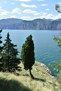 Scenic view of lake against sky