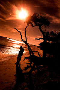 Silhouette people on beach against sky during sunset