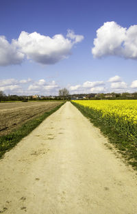 Road passing through agricultural field against sky