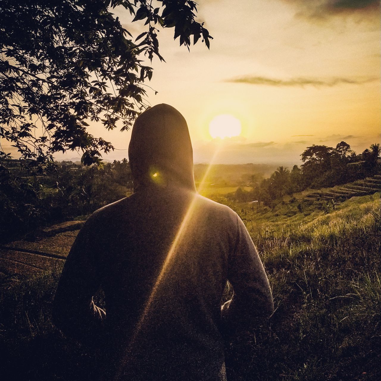 REAR VIEW OF MAN AGAINST BRIGHT SUN