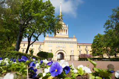 View of flowering plant against building