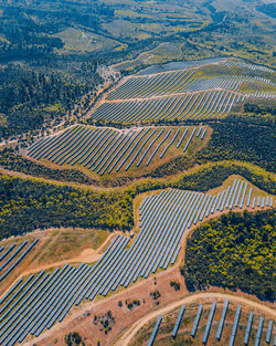 High angle view of agricultural field