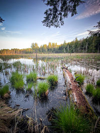 Scenic view of lake against sky