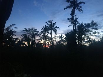 Silhouette palm trees against sky during sunset