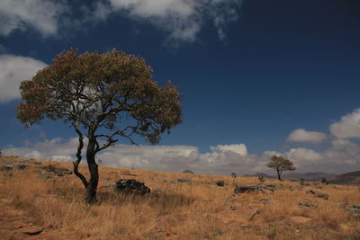 Scenic view of field against cloudy sky