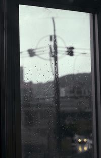 Reflection of trees on glass window