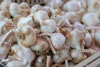 Close-up of onions for sale in market