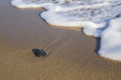 Stone on the beach