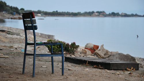 Close-up of horse by lake against sky