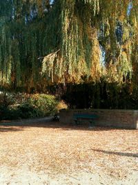 Scenic view of river