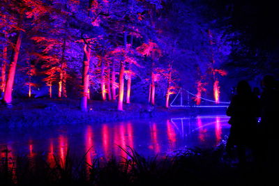 Reflection of trees in water