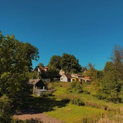 Trees and houses on field against clear blue sky