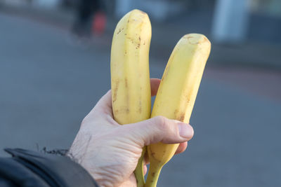 Midsection of person holding apple