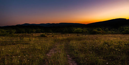 Scenic view of field against sky during sunset