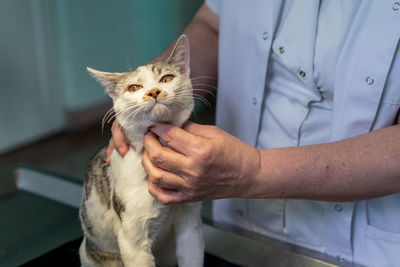 Close-up of hand holding cat at home