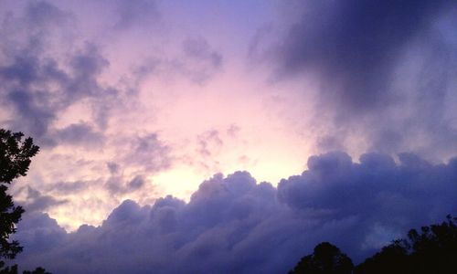 Low angle view of silhouette trees against sky