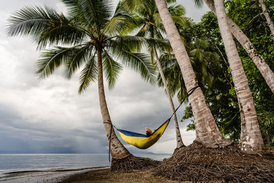 Adult relaxing in hammock at beach in costa rica