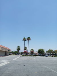 Road by palm trees against clear blue sky