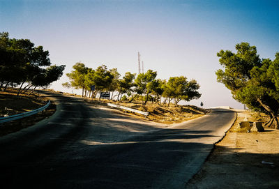 Empty road along trees on sunny day