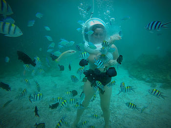 Fishes and woman swimming in sea