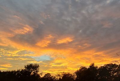 Low angle view of silhouette trees against orange sky