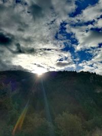 Sunlight streaming through trees on landscape against sky