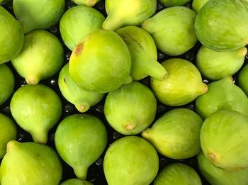 Green figs sweet and delicious fruit autumn season