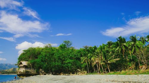 Scenic view of landscape against blue sky