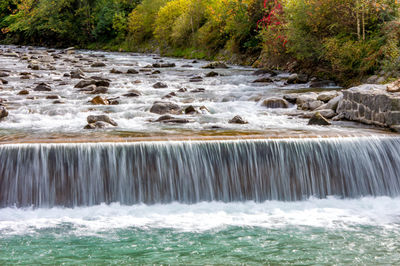 Scenic view of waterfall in forest