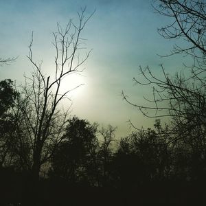 Silhouette of tree against sky