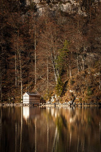 Scenic view of lake by trees and buildings in forest