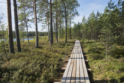 Footbridge amidst trees in forest against sky