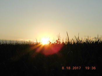 Scenic view of field against clear sky during sunset