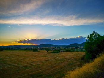 Scenic view of field against sky during sunset