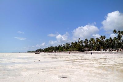 Scenic view of beach against blue sky