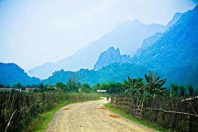 Scenic view of agricultural field against clear sky